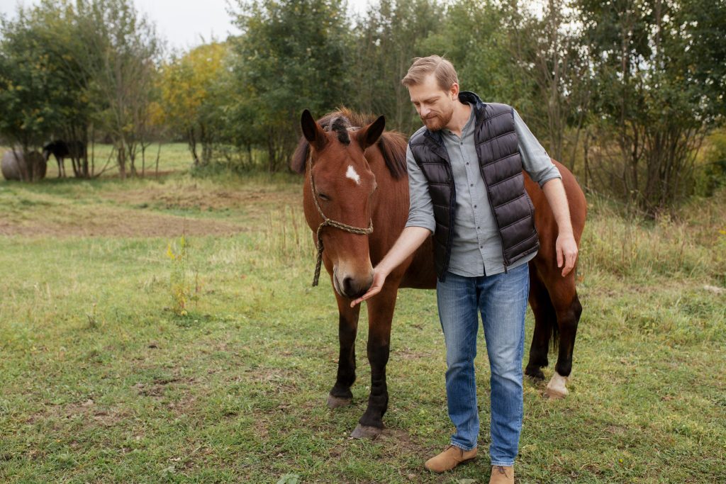 older horse gentle training outdoors