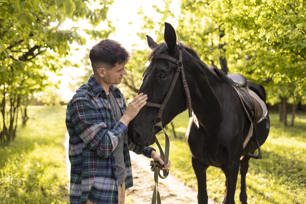 “old horse bonding with owner in sunlight”