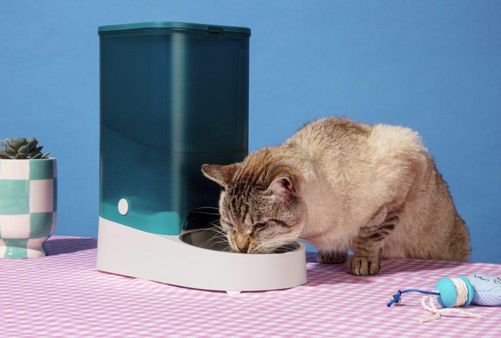 Cat eating from labeled food container