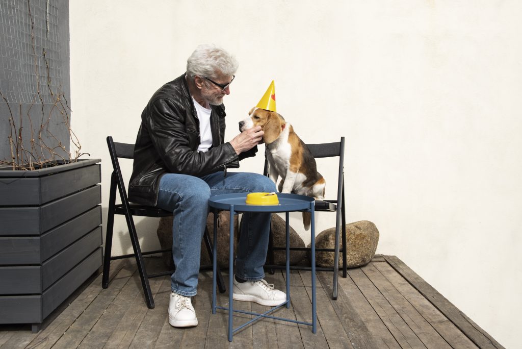 Enrichment Ideas for Aging Dogs